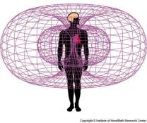 People Energy Fields and the Torus
