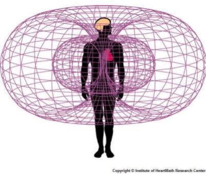 People Energy Fields and the Torus